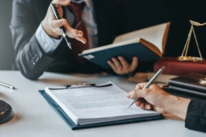 Litigator Workflows